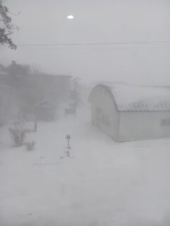 猛吹雪🌪️🌪️