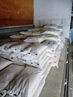 スキー&精米⛷️