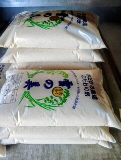 スキー＆精米👍