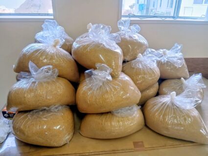 味噌仕込み最終日👍