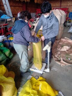 米作りスタート👍