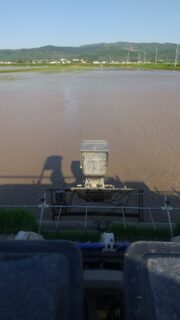 田植えスタート👍