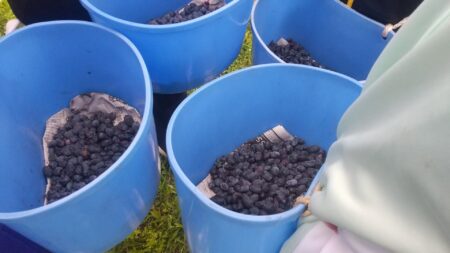 修学旅行生の受け入れ③