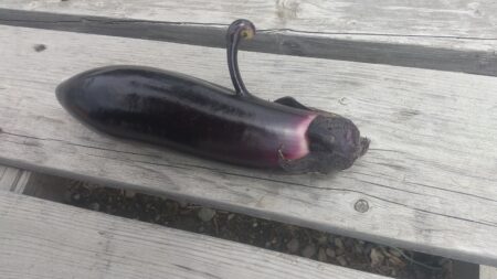 おもしろい 茄子