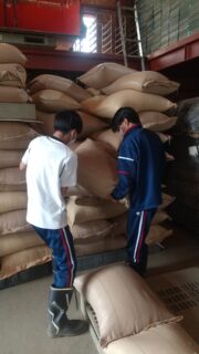 ファームステイ