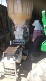 水稲 種まき😄