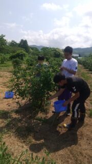 開明高校 農業体験